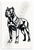 Cane Corso Dog Abstract Bold Lines Wildlife 12x18 US Made Poster