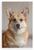 Pembroke Welsh Corgi Portrait Minimalist Animal 12x18 US Made Poster