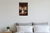 Majestic Shih Tzu in Ancient Chinese Palace Royalty 12x18 US Made Poster