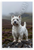 West Highland White Terrier Scottish Highlands Misty Landscape 12x18 US Made Poster
