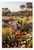 Australian Cattle Dog Running Through Wildflowers Australian Landscape 12x18 US Made Poster