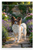 Papillon Dog in Lush Garden with Lavender and Peonies Wildlife 12x18 US Made Poster