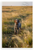Wirehaired Pointing Griffon Pointing in Golden Hour Field Wildlife 12x18 US Made Poster