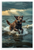 Chesapeake Bay Retriever Retrieving Stick Bay Bridge Adventure Wildlife 12x18 US Made Poster