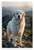 Great Pyrenees Dog Hiking Mountain Peaks Nature Wildlife 12x18 US Made Poster