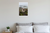Cairn Terrier Running Misty Scottish Highlands Adventure 12x18 US Made Poster