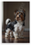 Biewer Terrier Elegant Portrait Realistic Dog 12x18 US Made Poster