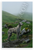 Irish Wolfhound Misty Green Hills Landscape Wildlife 12x18 US Made Poster