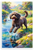 Playful Lagotto Romagnolo Playing by River Watercolor 12x18 US Made Poster
