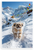 Lhasa Apso Trekking Himalayan Snowy Peaks Adventure 12x18 US Made Poster