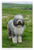 Old English Sheepdog in Green Countryside Pastoral Landscape 12x18 US Made Poster