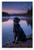 Flat-Coated Retriever by Serene Lake Dusk Nature Wildlife 12x18 US Made Poster