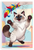 Playful Ragdoll Cat Batting Feather Toy Cartoon 12x18 US Made Poster