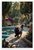 Black Persian Cat Walking Persian Garden Nature 12x18 US Made Poster