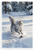 Playful Siberian Cat Leaping Snowy Forest Wildlife 12x18 US Made Poster