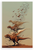 T-Rex Evolving into Birds Abstract Dinosaur Evolution 12x18 US Made Poster