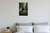 Triceratops Charging Through Dense Forest Wildlife 12x18 US Made Poster