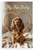 My Fur Baby English Cocker Spaniel Dog Bone Heart 12x18 US Made Poster