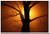Scary tree in the fog Halloween Poster
