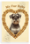 Standard Schnauzer My Fur Baby Dog Bone Heart Vintage 12x18 US Made Poster
