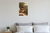 My Turtle Care Rules Child Holding Pet Turtle Educational 12x18 US Made Poster