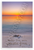 "Keep the Sea Plastic Free" Ocean Sunset Environmental 12x18 US Made Poster