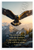 Psalm 91:4 "He Will Cover You With His Feathers" Eagle Inspirational 12x18 US Made Poster