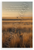 The Looking Paradox You May Have to Stop Looking Quote Inspirational 12x18 US Made Poster