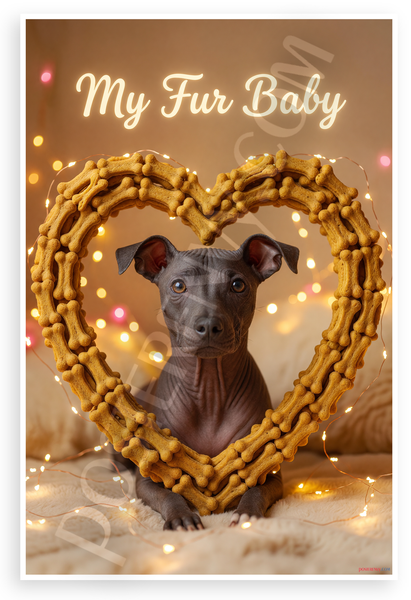 My Fur Baby Xoloitzcuintli Dog in Dog Bone Heart Frame 12x18 US Made Poster