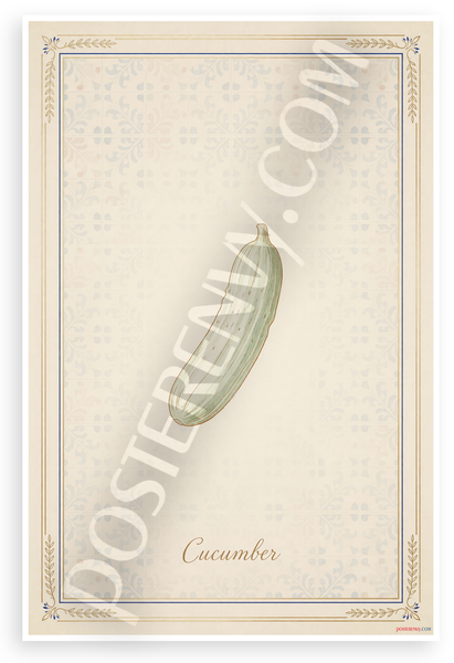 Cucumber Botanical Illustration French Kitchen 12x18 US Made Poster