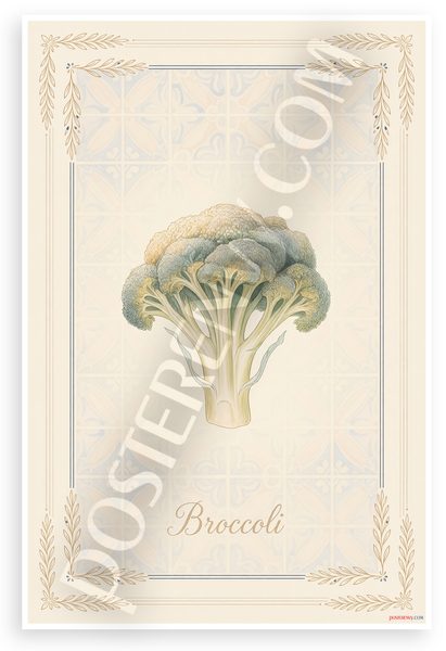 Broccoli Botanical Illustration Provençal Style 12x18 US Made Poster