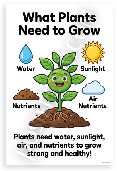What Plants Need to Grow Water Sunlight Air Nutrients Educational 12x18 US Made Poster