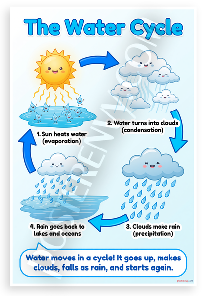 The Water Cycle Evaporation Condensation Precipitation Educational 12x18 US Made Poster