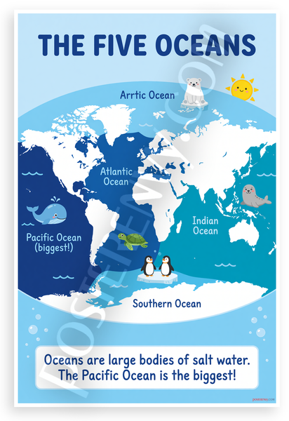The Five Oceans World Map Educational 12x18 US Made Poster