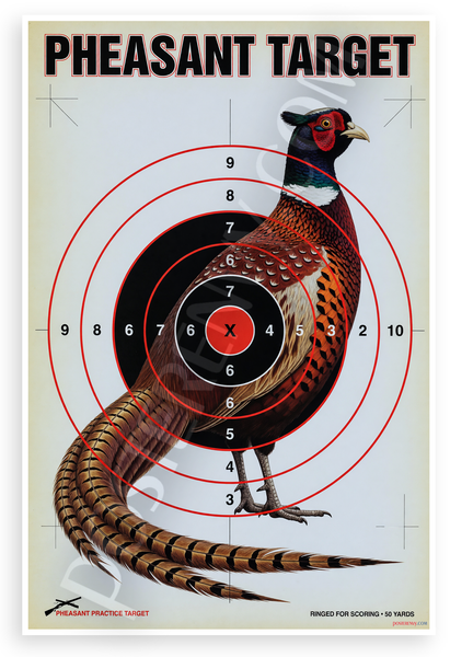 Pheasant Target Practice Shooting 12x18 US Made Poster