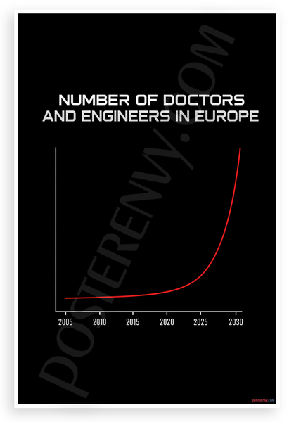 Doctors and Engineers in Europe Growth Chart Educational 12"x18" US Made Poster