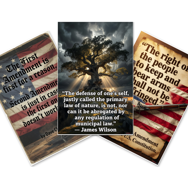 Patriotic Rights — 3 Poster Set — Dave Chappelle First Amendment, Second Amendment Flintlock, James Wilson Self-Defense — 12x18 Inch | Made in USA