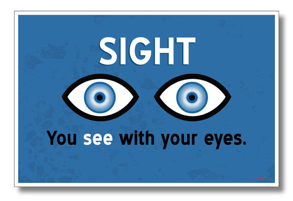 Sight - NEW Classroom Science Poster