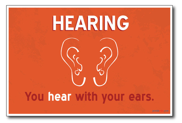 Hearing - NEW Classroom Science Poster