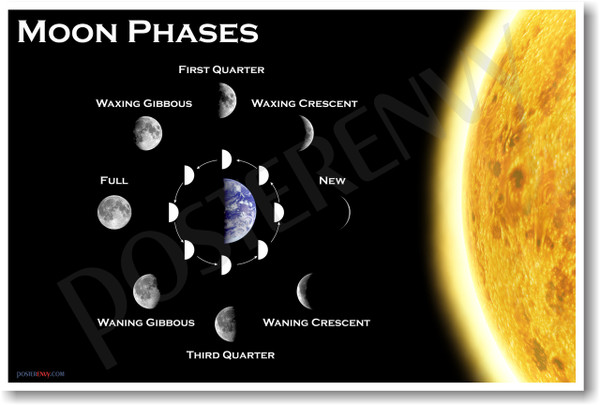 Moon Phases Astronomy Science Classroom Poster (ms115) PosterEnvy 