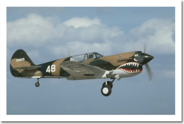 WWII P40 Mustang Aircraft in flight Poster