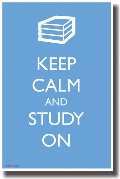 Keep Calm and Study On - NEW Humor Poster
