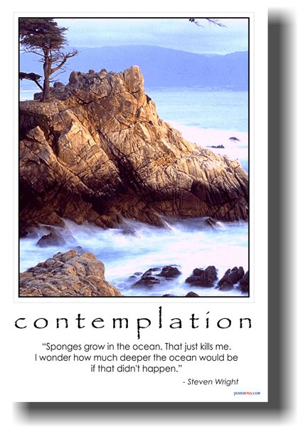 Contemplation - "Sponges grow in the ocean. That just kills me. I wonder how much deeper the ocean would be if that didn't happen.--Steven Wright