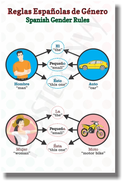 Spanish Gender 2 - NEW Foreign Language Educational POSTER