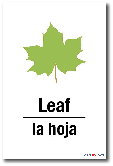 La Hoja - Leaf In Spanish - NEW Foreign Language POSTER
