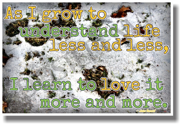 As I Grow to Understand - NEW Classroom Motivational Poster