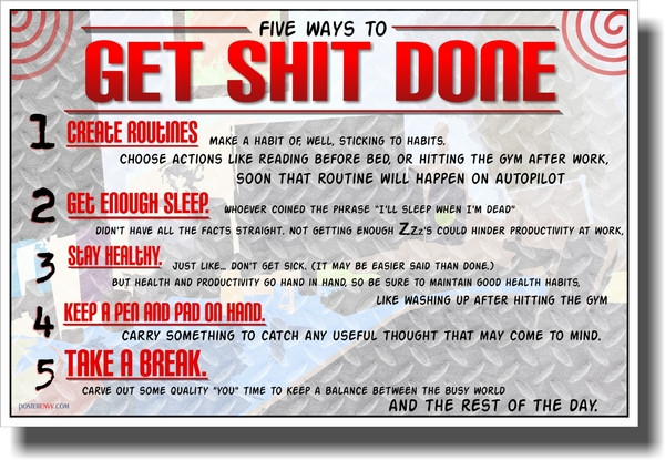Get Shit Done  - NEW Motivational Poster