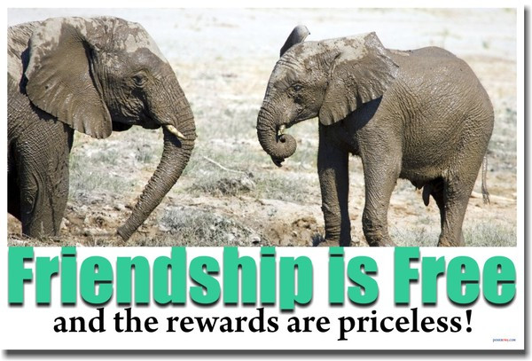 Friendship is Free and the Rewards are Priceless
