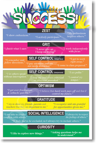 Characteristics of Success Classroom School Student Teacher Positive Motivational Grit Curiosity Poster (cm266) 