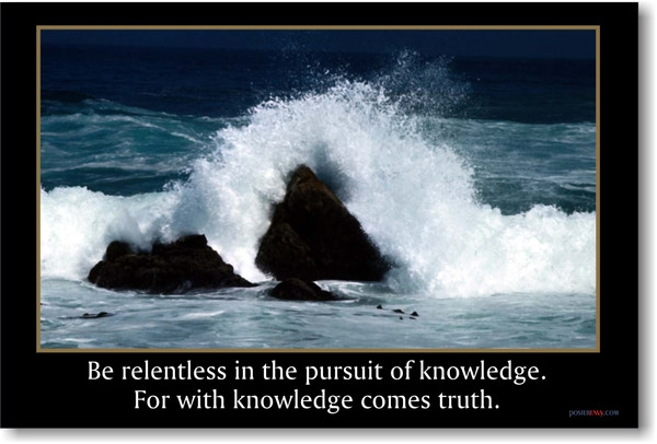 Be Relentless in the Pursuit of Knowledge - Classroom Motivational Poster